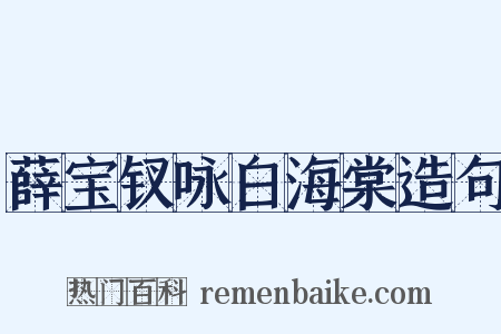 薛宝钗咏白海棠造句是什么意思的图片